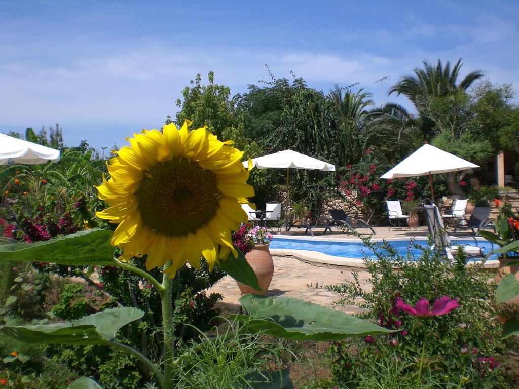 Agroturismo Na Set Centes - Adults Only Arta Ngoại thất bức ảnh