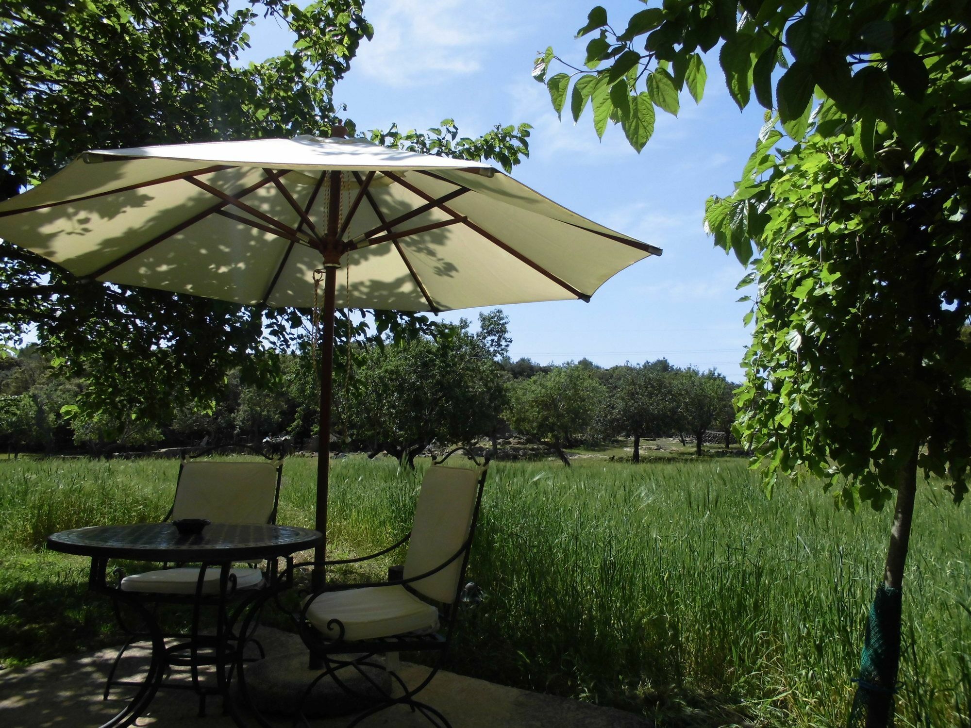 Agroturismo Na Set Centes - Adults Only Arta Ngoại thất bức ảnh